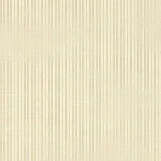 51000 Shadow Snow